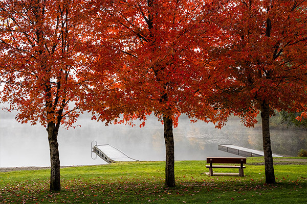 A lake in the fall with red trees, photo by Ben Girardi